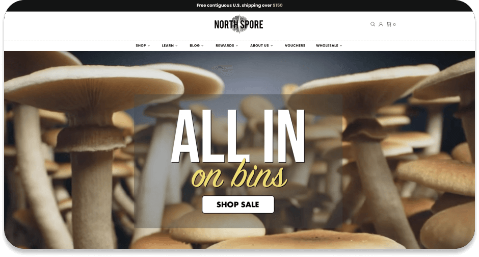 Case Study: How we Tripled North Spore’s traffic in 16 months