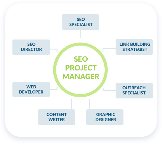 The SEO team structure on your campaign